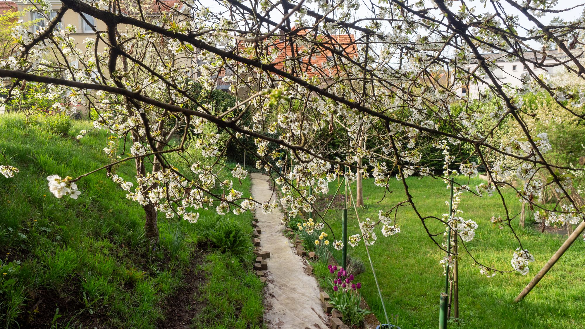 Concours de jardins Bitche 